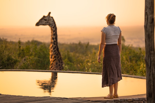 A woman looks at a giraffe at an animal conservation. 