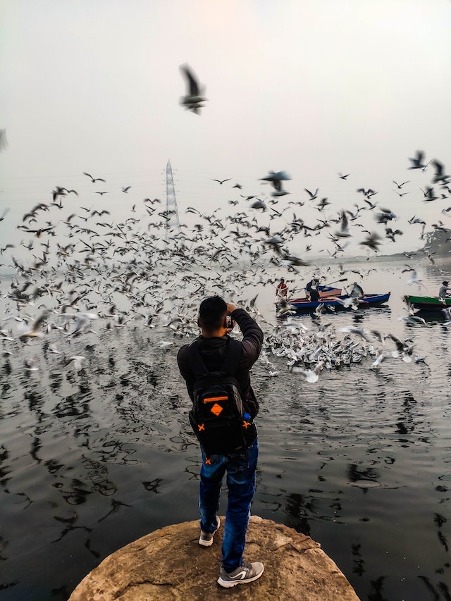 A guy taking pictures of birds on a lake
