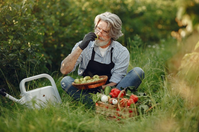 Person holding a basket of green fruits in the field
